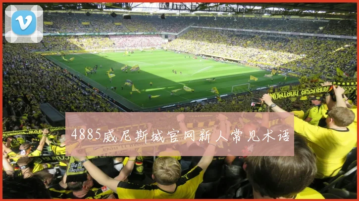 4885威尼斯城官网新人常见术语