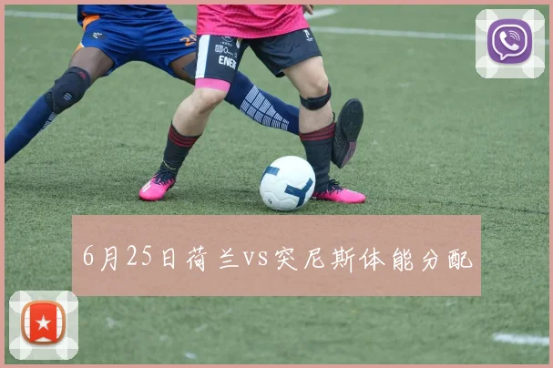 6月25日荷兰vs突尼斯体能分配